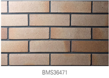 Materiali sottili esteriori dell'argilla di mattone per il campione libero della costruzione domestica