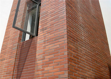 Resistenza all'usura esteriore del muro di mattoni dell'impiallacciatura del solido per progettazione della costruzione di casa