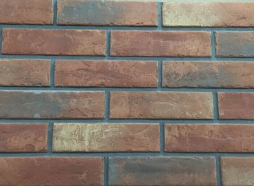 argilla interna del muro di mattoni di colore girata resistente agli'acidi 3D206 materiale