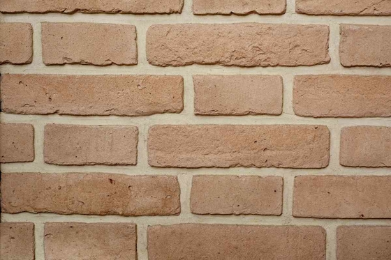 Gamma di superficie speciale di dimensione 200x55x12mm Clay Brick For Wall Decoration di colori interno ed esterno