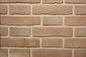 Gamma di superficie speciale di dimensione 200x55x12mm Clay Brick For Wall Decoration di colori interno ed esterno