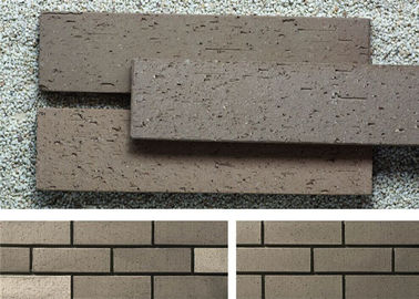 Materiale da costruzione del mattone dell'impiallacciatura di parete dei pannelli della parete esterna dell'argilla con superficie ruvida