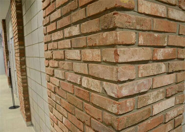 Vecchi mattoni della parete di lunga storia per parete esteriore/interna 240*50*20mm