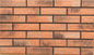 3DWN si dirigono il mattone decorativo 1202 dell'argilla rossa della parete - resistenza alla rottura 1441N