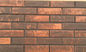 3DWN si dirigono il mattone decorativo 1202 dell'argilla rossa della parete - resistenza alla rottura 1441N