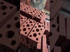 La cavità facile Clay Construction Brick Extruded Highly dell'installazione rende incombustibile